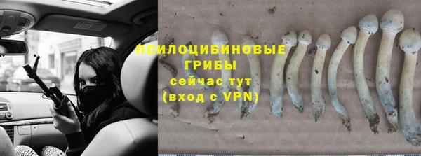 MESCALINE Волоколамск