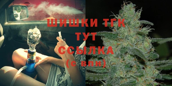 прущие грибы Гусь-Хрустальный