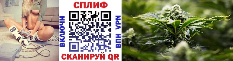 МАРИХУАНА White Widow hydra ссылки Новоржев
